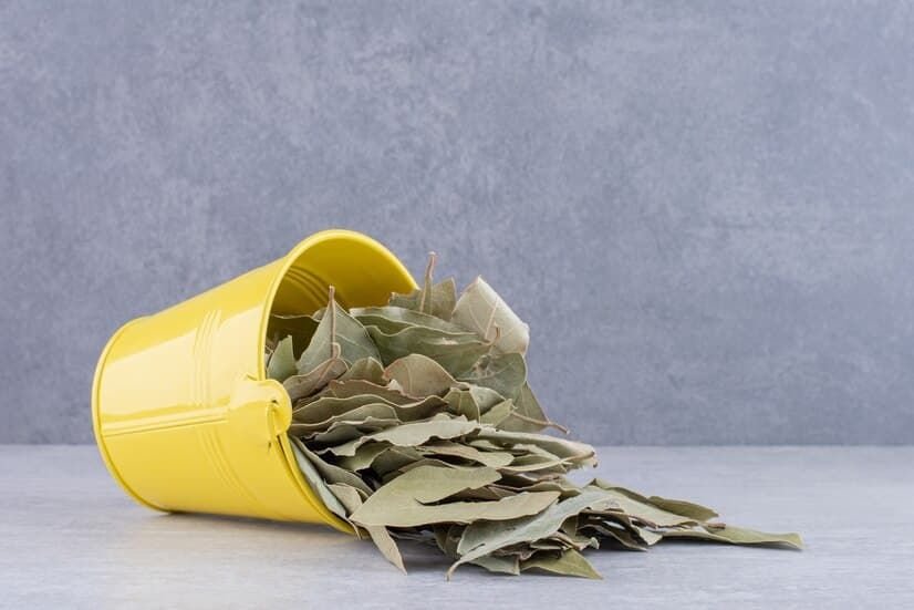Bay Leaves