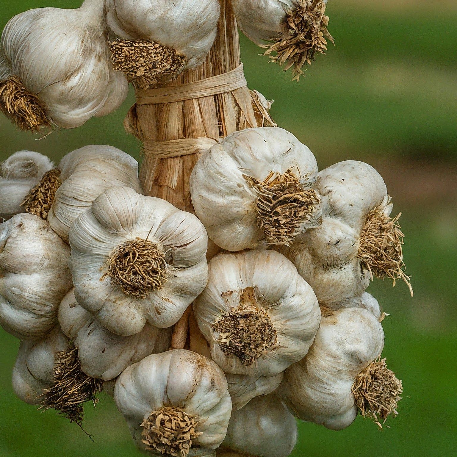 Dehydrated Garlic Cloves