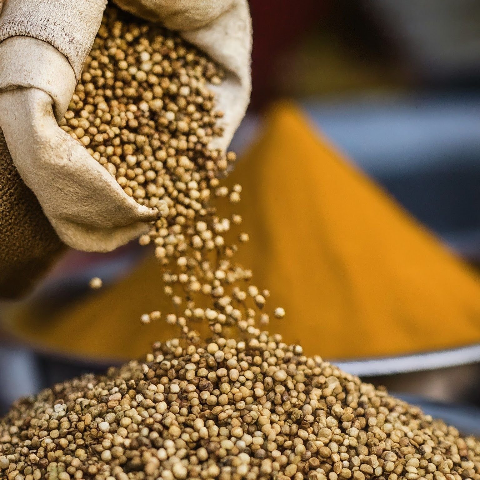 Coriander Seeds