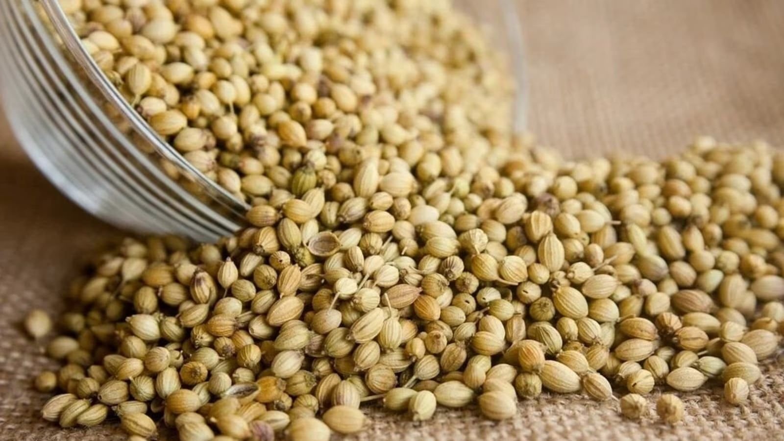 Coriander Seeds