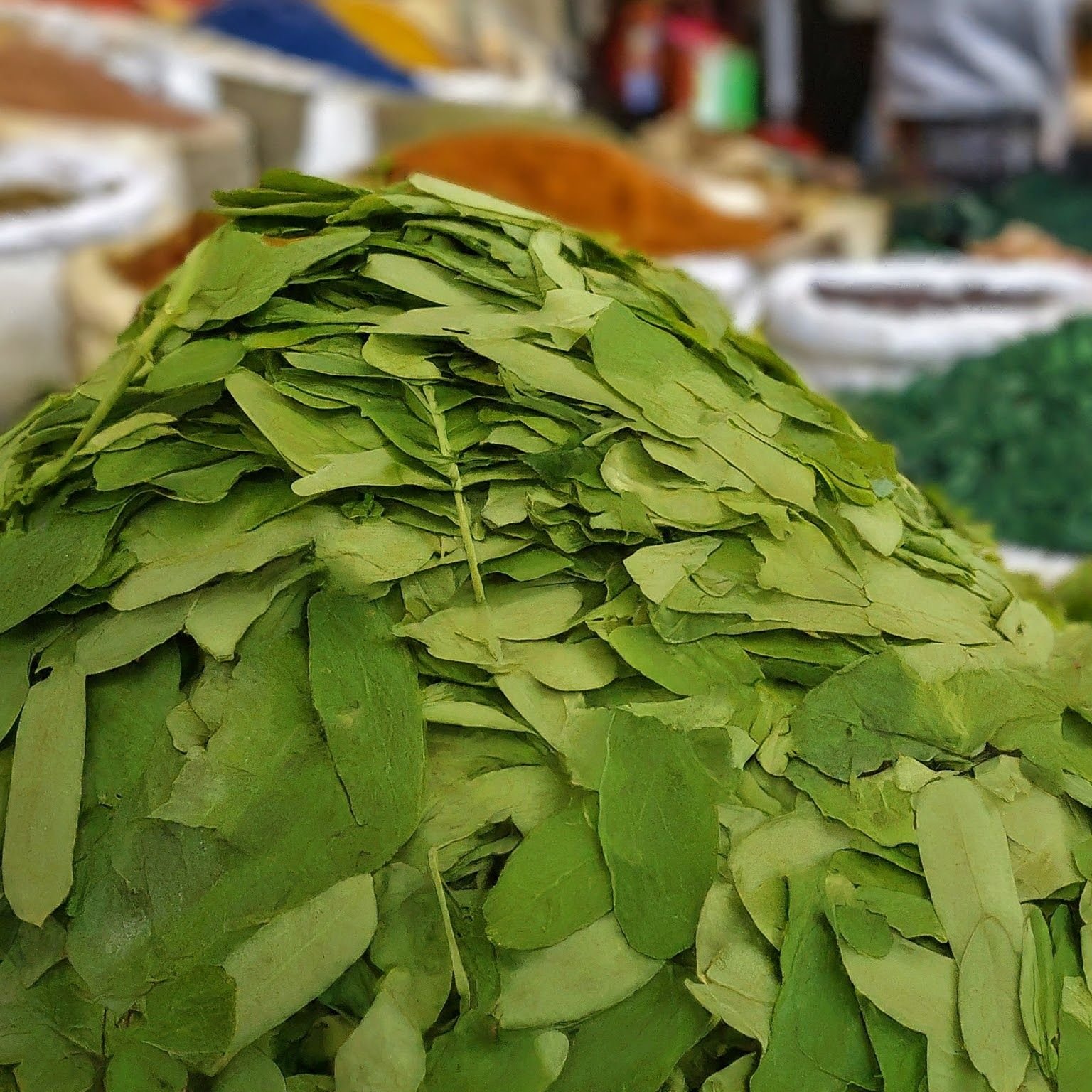 Senna Leaves