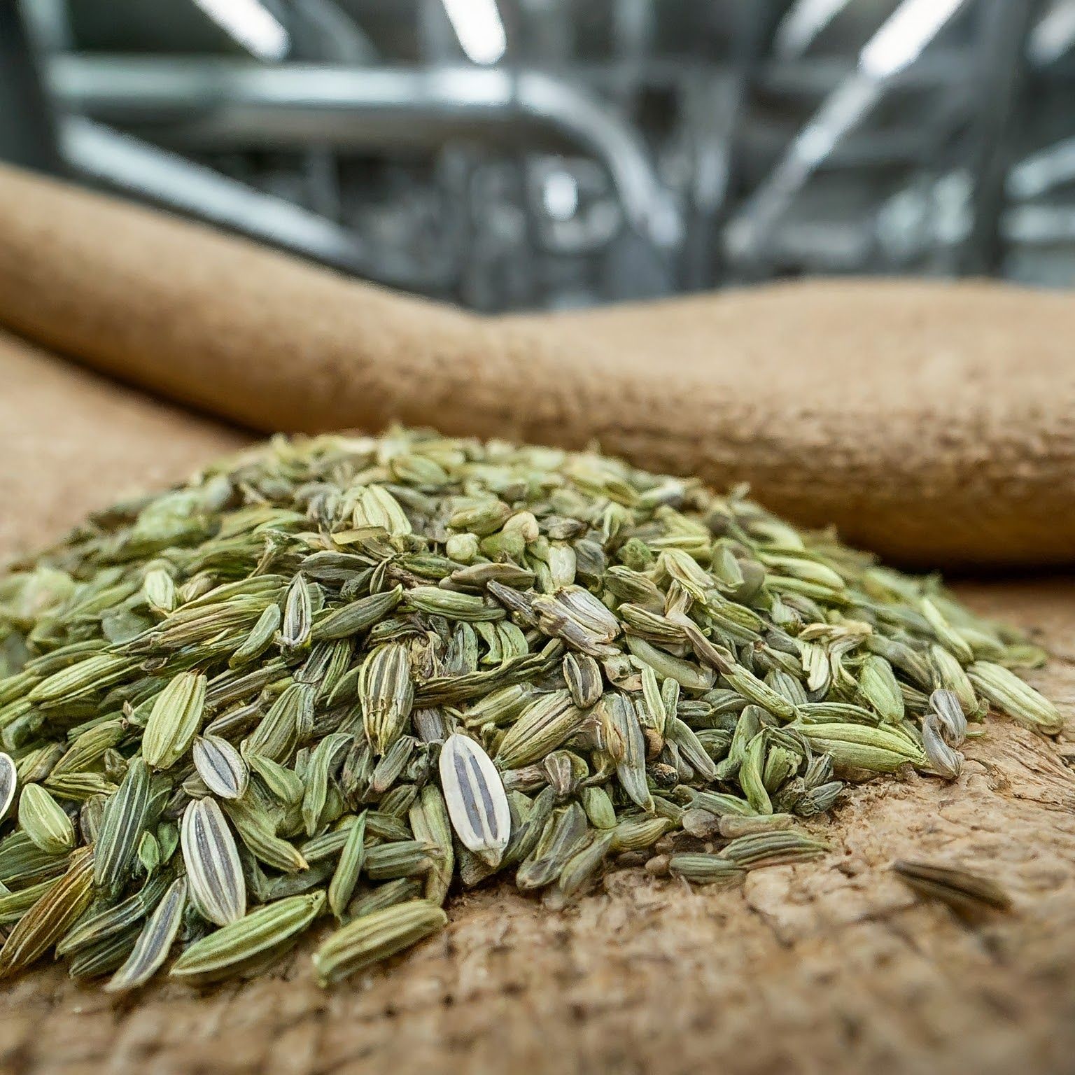 Fennel Seeds