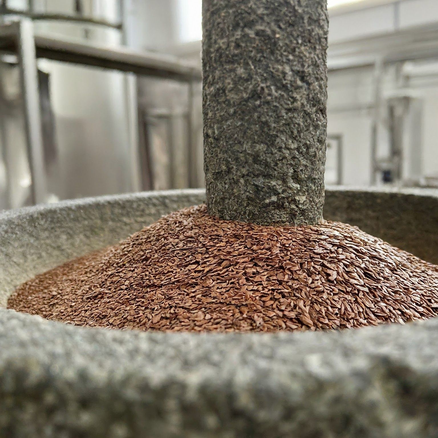Flax Seeds